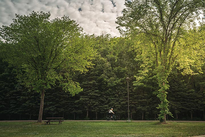 paysage d'été